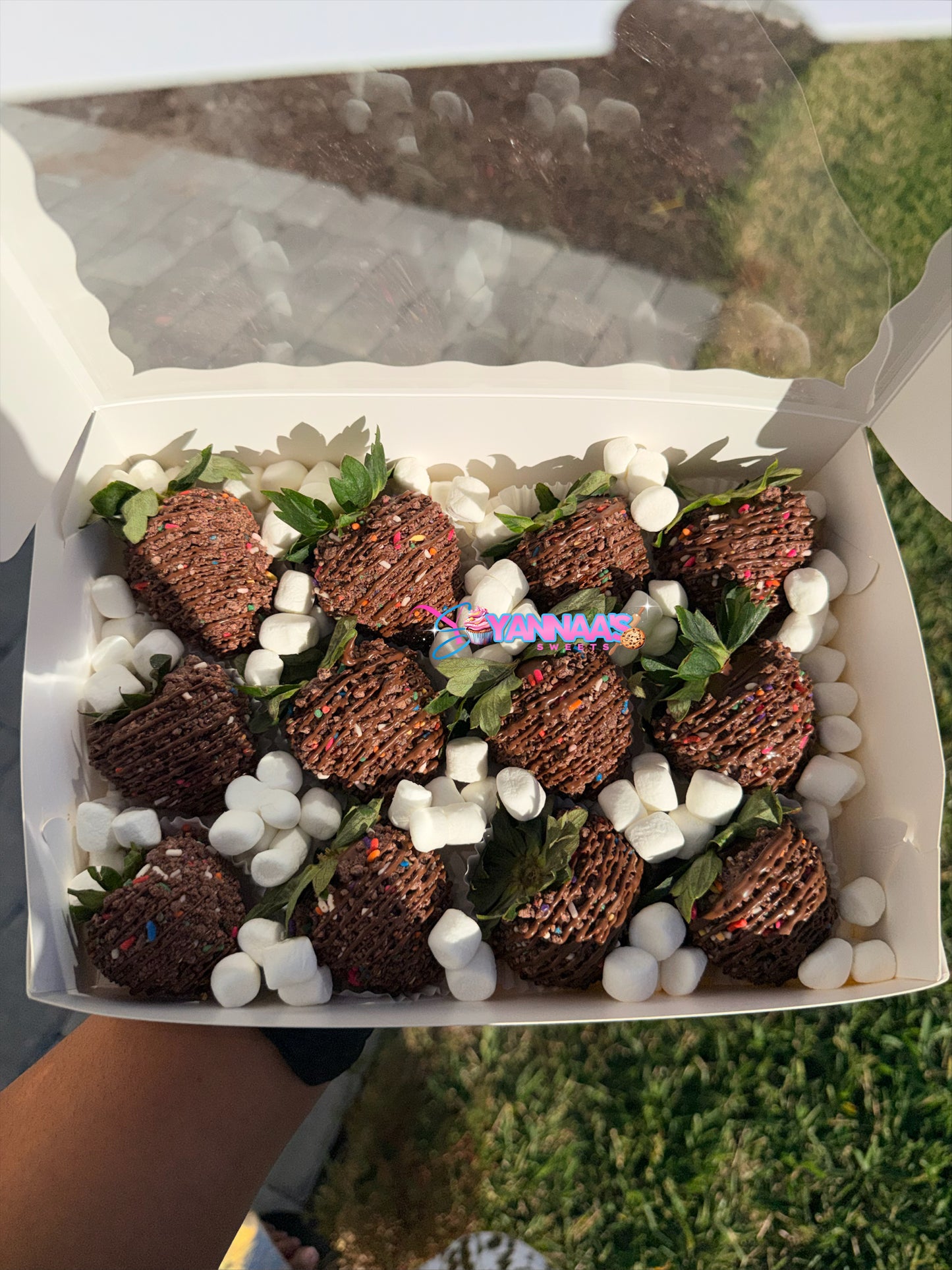 π Cosmic Brownie Covered Strawberries (Half Dozen)