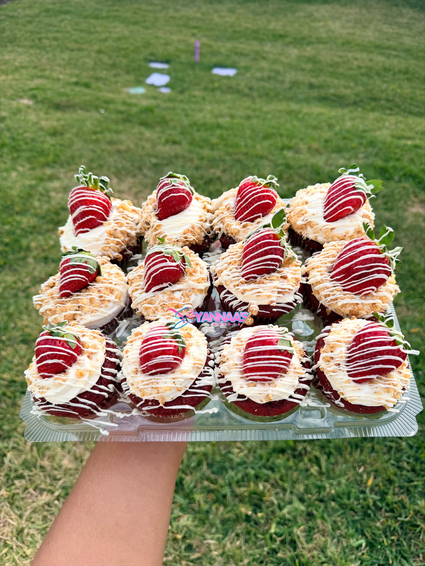 Gourmet Cupcakes