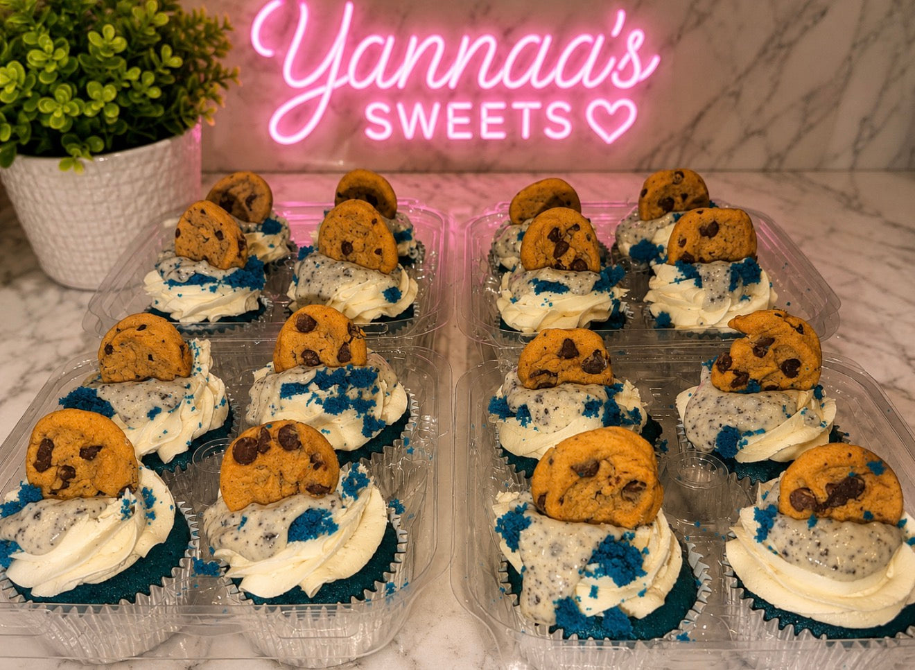 Cookie Monster Stuffed Cupcakes (Dozen)