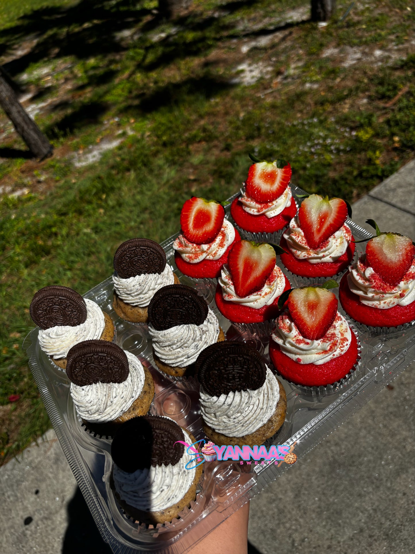 Cupcake Dozens