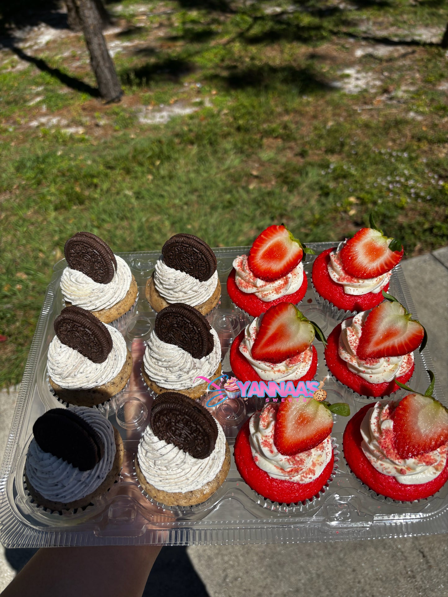 Cupcake Dozens