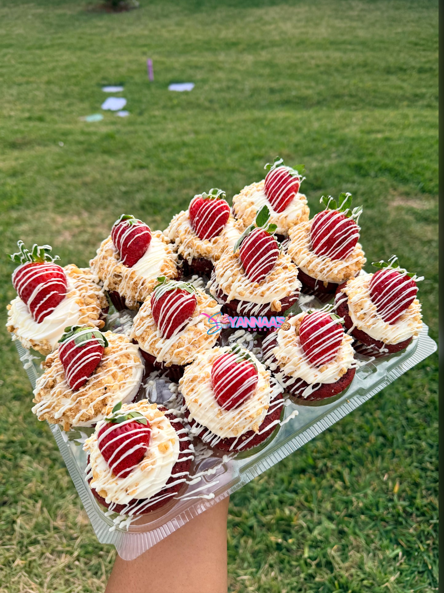 Gourmet Cupcakes